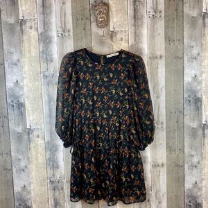 Abercrombie and Fitch Autumn Floral Mini Dress in Black Multi Size Small.